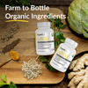 Cleanse & Detoxx Bundle