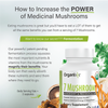 Memory & Focus Bundle
