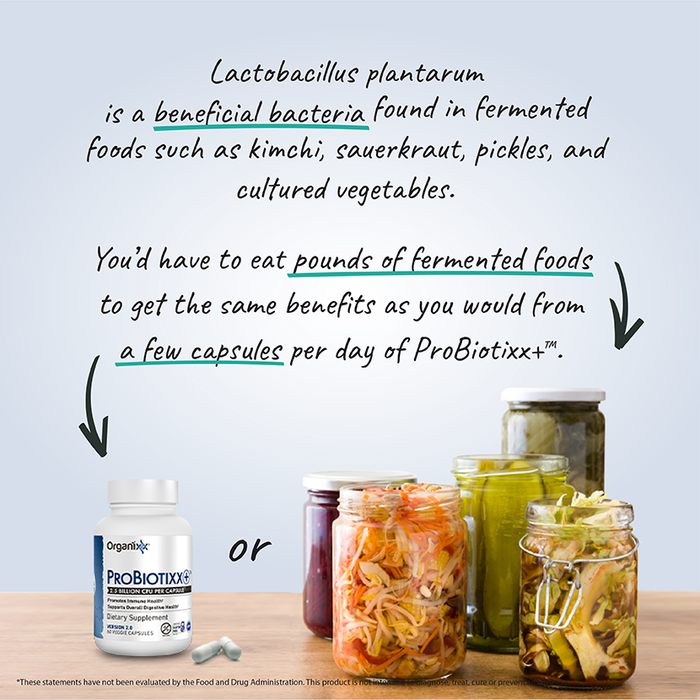 Optimal Digestion Bundle
