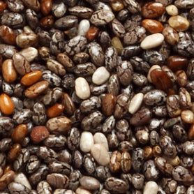 Organic Sprouted Chia Seed