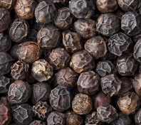 Organic Black Pepper Fruit Extract (10% Piperine)