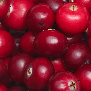 Organic Cranberry Seed Oil