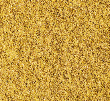 Lactobacillus Plantarum