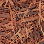 Pau D’Arco Bark