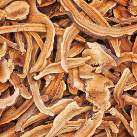 Organic Reishi Mushroom
