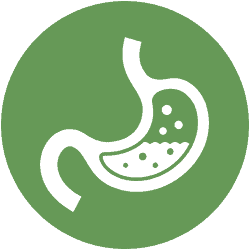 Digestion & Detox