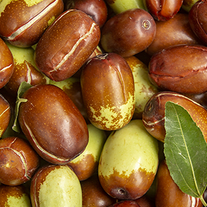 Jojoba Oil