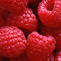 Organic Raspberry Seed Oil